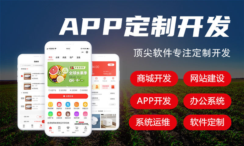 南京房地产系统解决方案与功能计划书