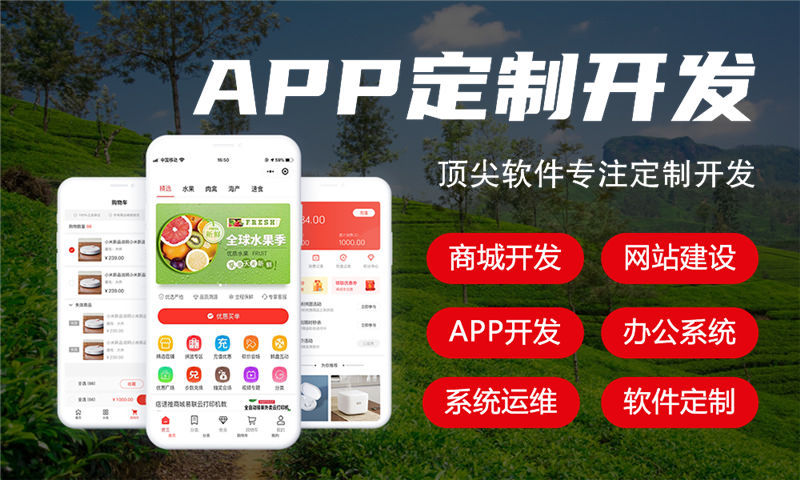 南京政务系统解决方案与功能计划书——助力政府高效管理