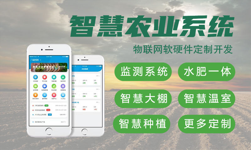 南京单片机解决方案设计与功能计划书
