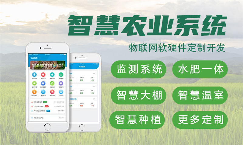 南京单片机开发解决方案及功能计划书