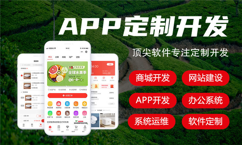 南京能源系统开发解决方案及功能计划书
