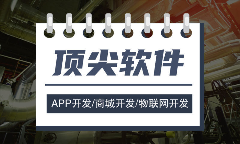 南京项目管理系统开发解决方案与功能计划书
