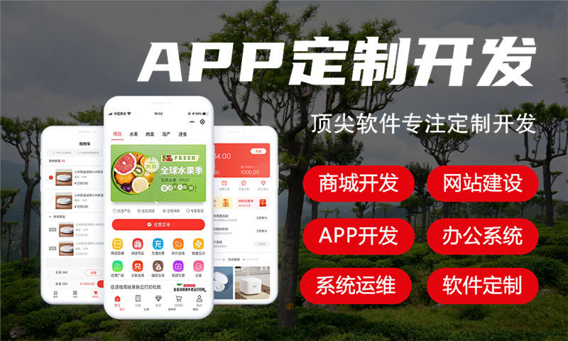 南京旅游系统开发解决方案与功能计划书