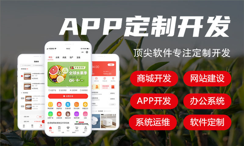 南京政务系统解决方案及功能计划书
