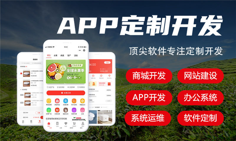 南京分销商城系统开发助力企业突破困境