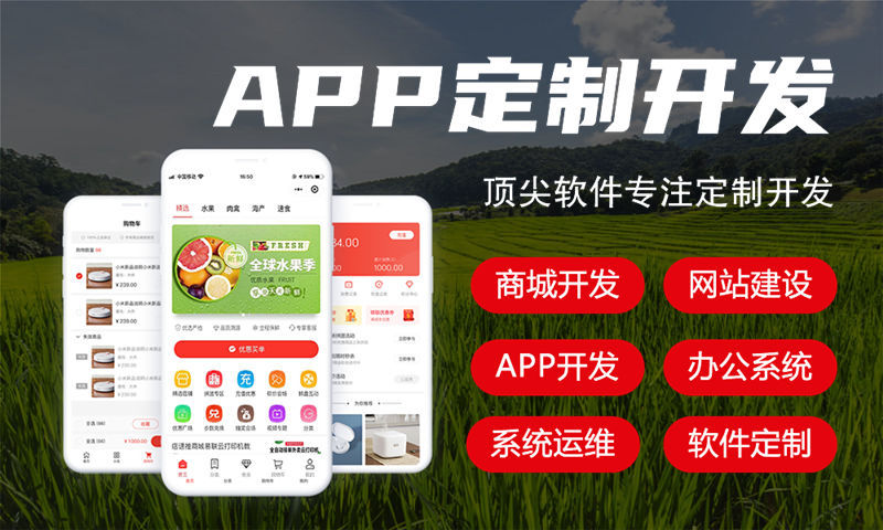 南京房地产系统解决方案与功能计划书