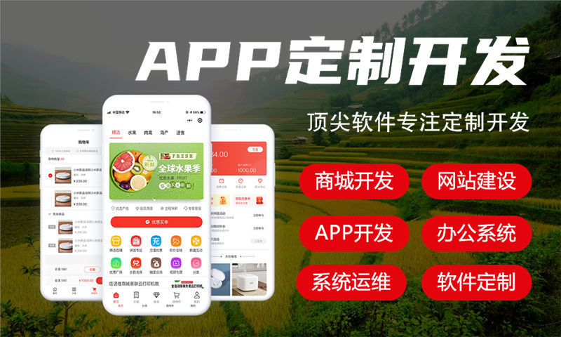 南京分销商城系统开发如何助力企业突破增长瓶颈
