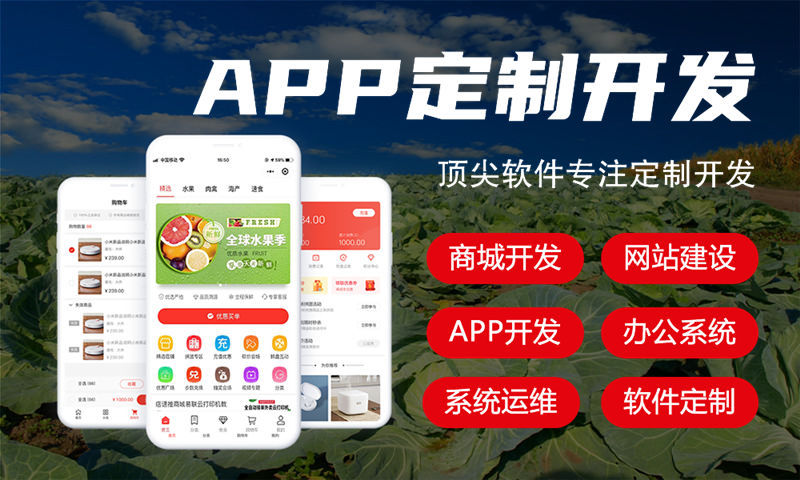 南京十三星创客商城开发（小程序APP）解决方案 | 系统架构与商业价值分析
