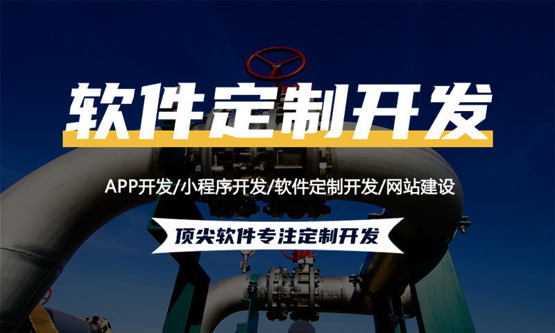 南京二二复制大公排系统商城（软件开发）技术方案及商业价值分析