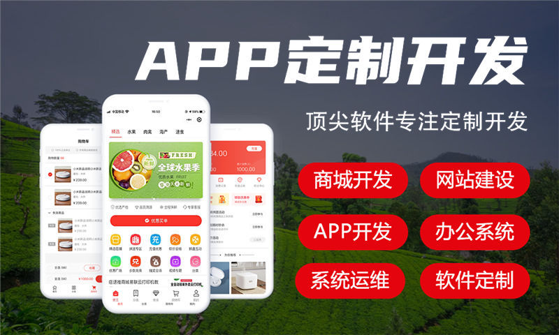 武汉商城APP开发如何解决企业运营困境